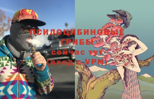 круглые Аркадак