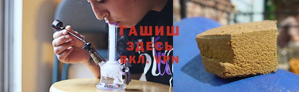 крисы Армянск