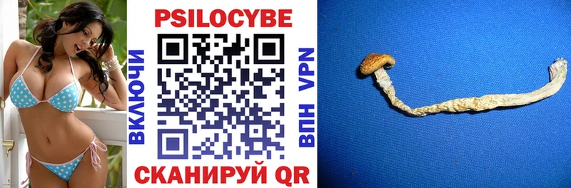 Псилоцибиновые грибы Psilocybine cubensis  Вятские Поляны 
