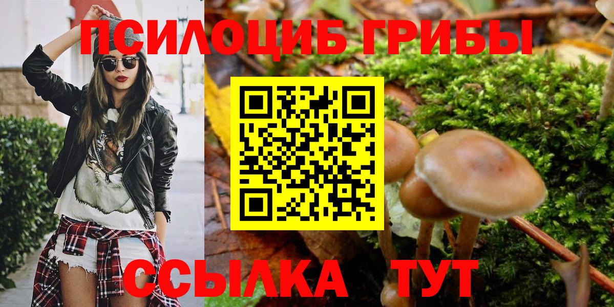 Псилоцибиновые грибы ЛСД  Вятские Поляны 