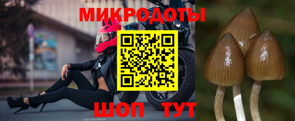 Галлюциногенные грибы мицелий  Вход с VPN  Вятские Поляны 