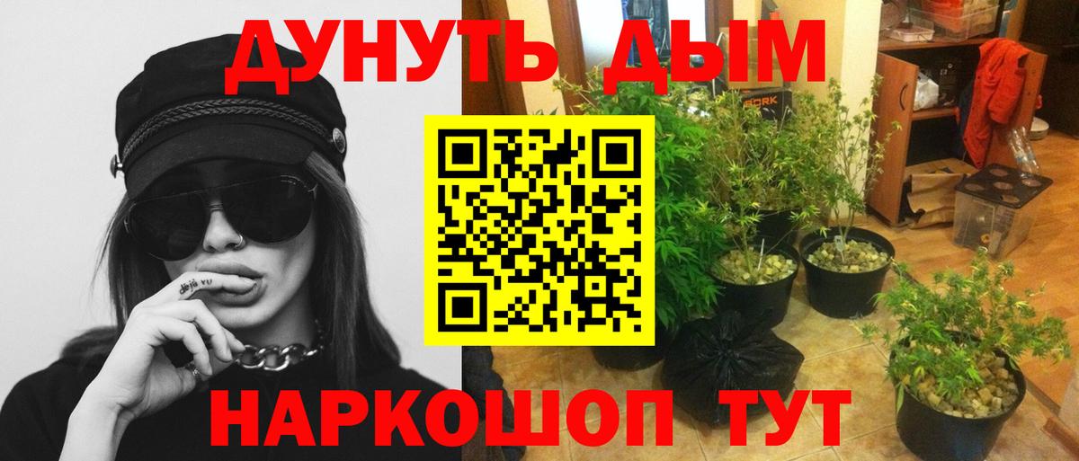 Шишки марихуана AK-47  Шишки марихуана SATIVA & INDICA  Вятские Поляны  Вход с VPN  Каннабис Ganja 